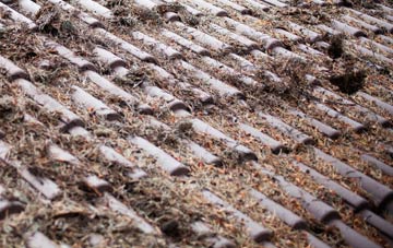 Soberton roof cleaning companies