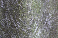 Soberton fibreglass roof work